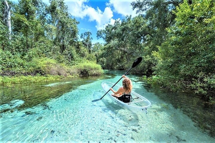 Paddle through crystal-clear waters as you explore Rock Springs' lush surroundings spotting turtles fish and more. Enjoy a refreshing escape into Florida's natural beauty on this guided eco tour.